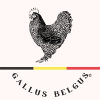 BOUCHERIE "Gallus Belgus"